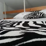 Radić 3*