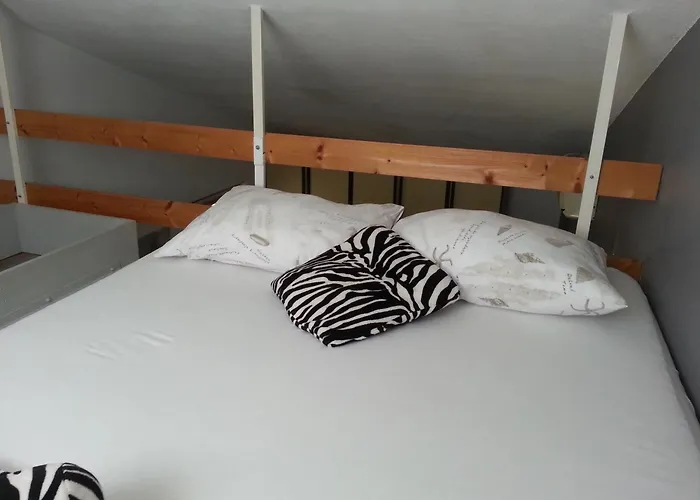 Radic 3* マカルスカ