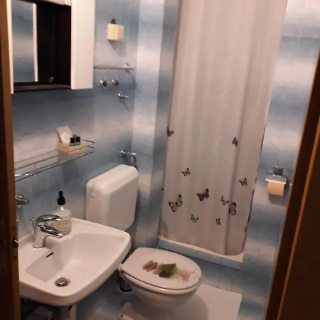 Guest house Radic 3*