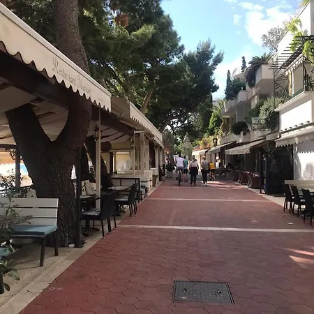 Radic Guest house 3*